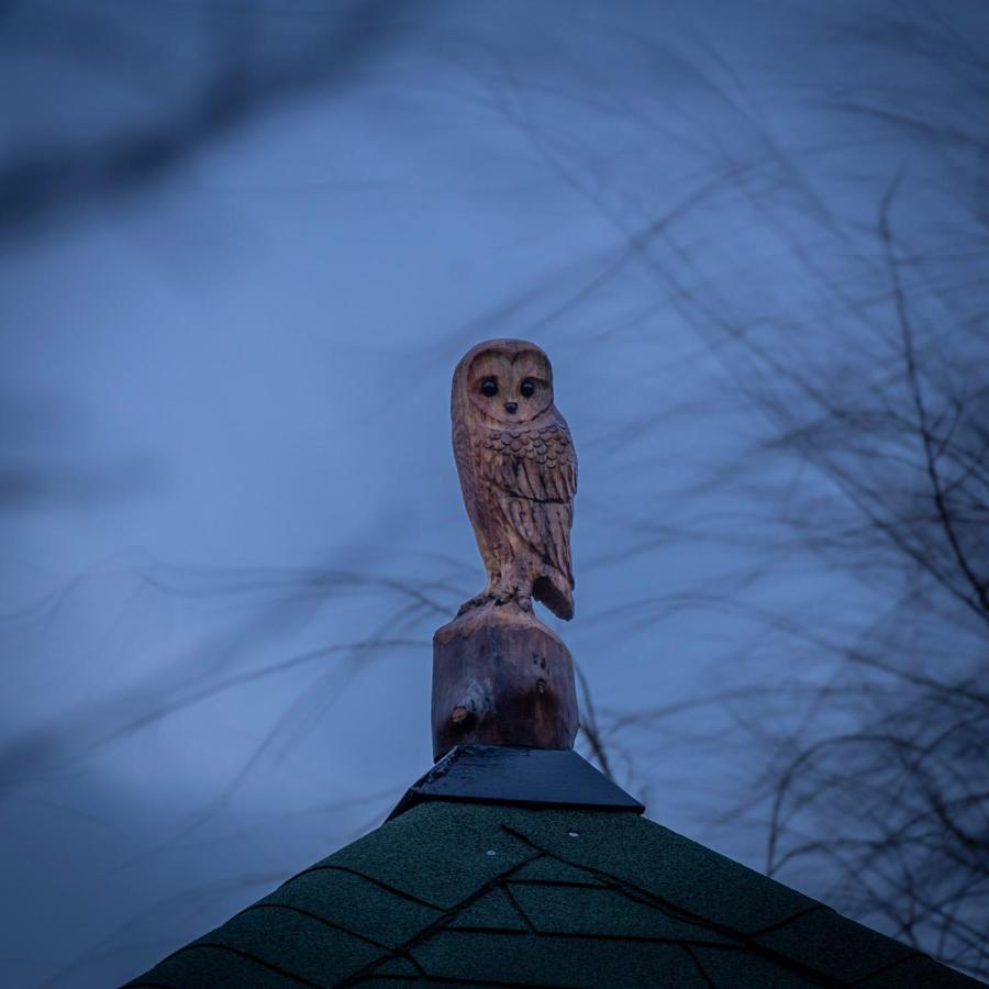 فيلا The Treehouse - Sleeps 4 Old Leake المظهر الخارجي الصورة